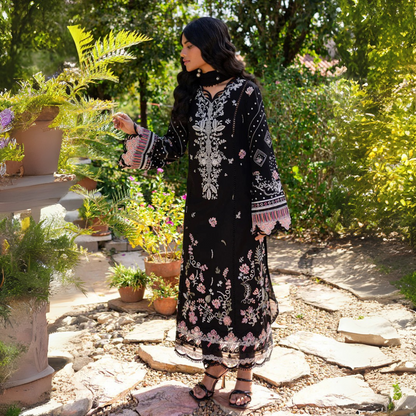 Black rangrasiya 🖤